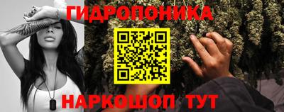дмт Гай