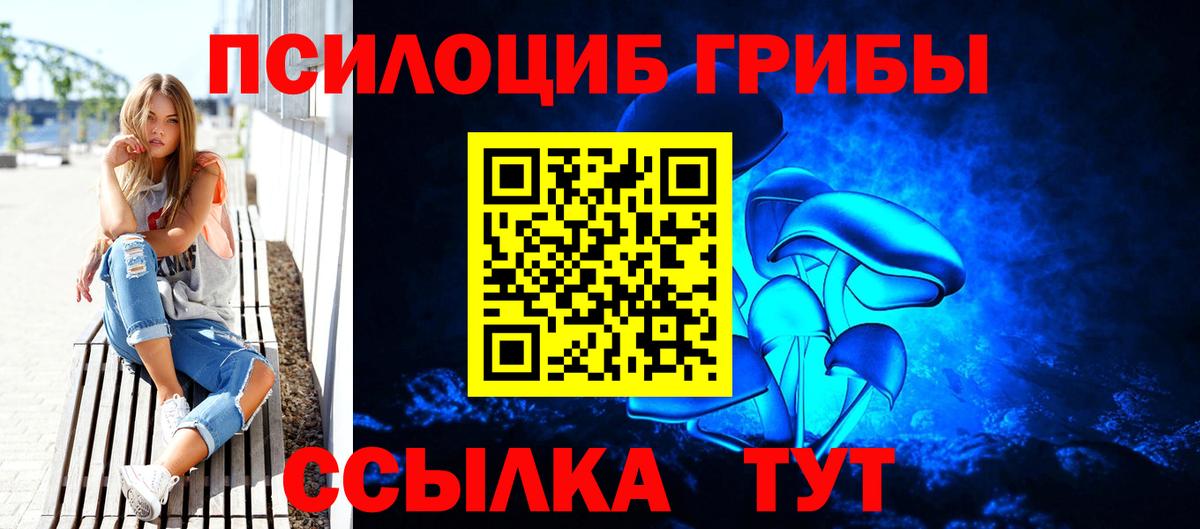 Псилоцибиновые грибы Magic Shrooms Гусиноозёрск