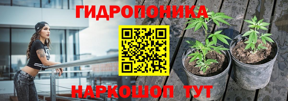 Бошки марихуана марихуана  МАРИХУАНА VHQ  Конопля LSD WEED  Гусиноозёрск  Канабис White Widow 